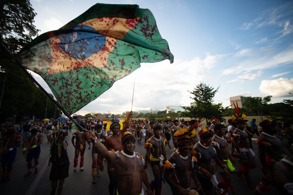 Brazil - protest flag