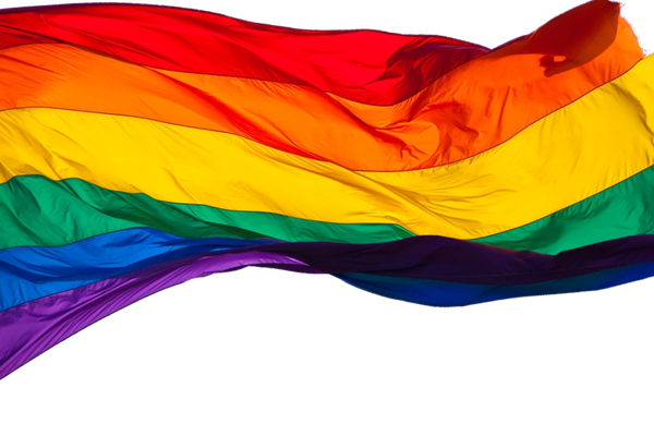 LGBTI flag 